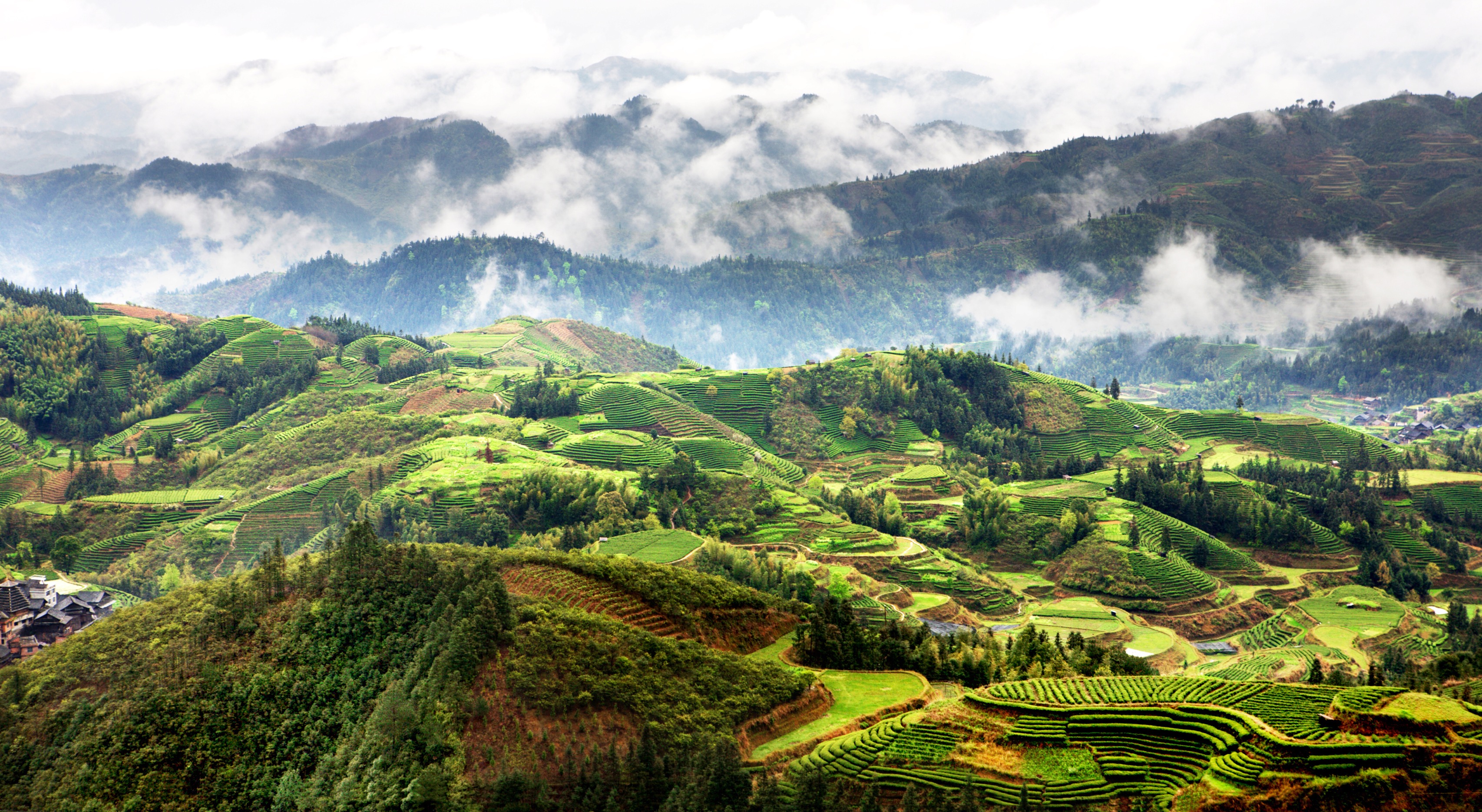 风情侗乡春意浓