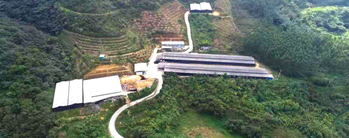 兴业县绿珠有机种植专业合作社