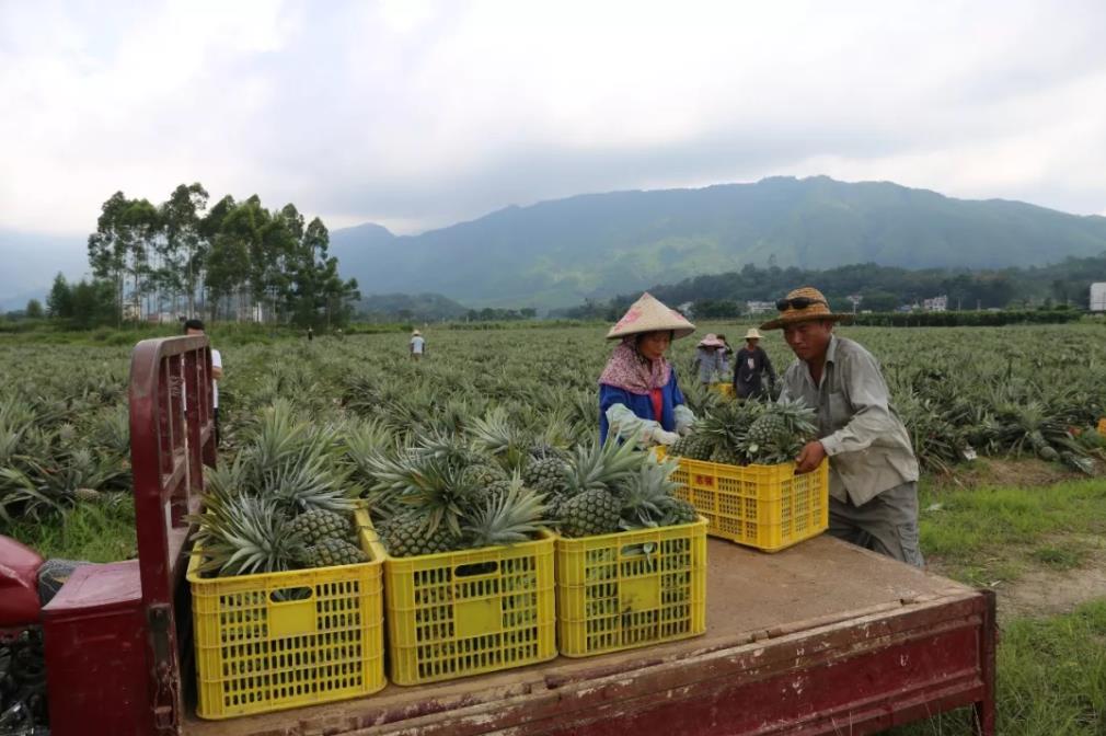 广西鑫旺来农业科技开发有限公司