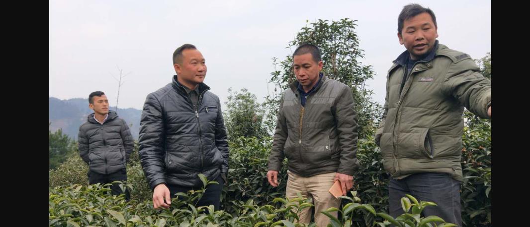 三江县侗兴源农业综合开发有限公司